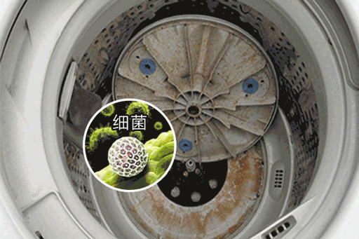 微信图片_20190415140633.gif