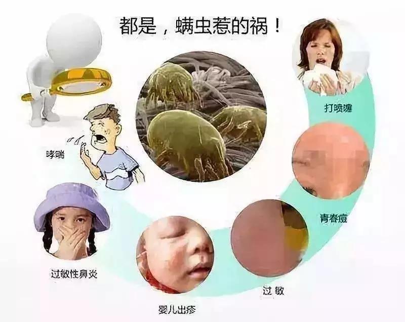 20190416112708366689.jpg