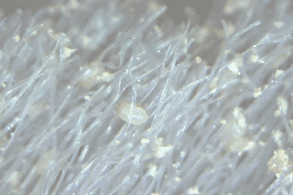 f18e47b9f56d43c89da7210adb83498d.gif