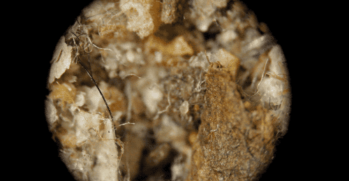 97e136c191ef4eedb665b685d5911b09.gif