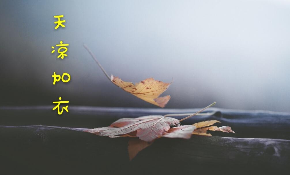 20211008081316686661.jpg