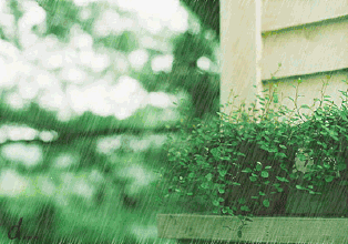 src=http _wx2.sinaimg.cn_large_006WtfyYgy1fqhq1jtkvvg308q064god.gif&refer=http _wx2.sinaimg.cn&app=2002&size=f9999,10000&q=a80&n=0&g=0n&fmt=auto.gif